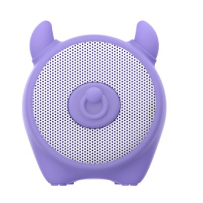 3W Wireless Speaker Summer