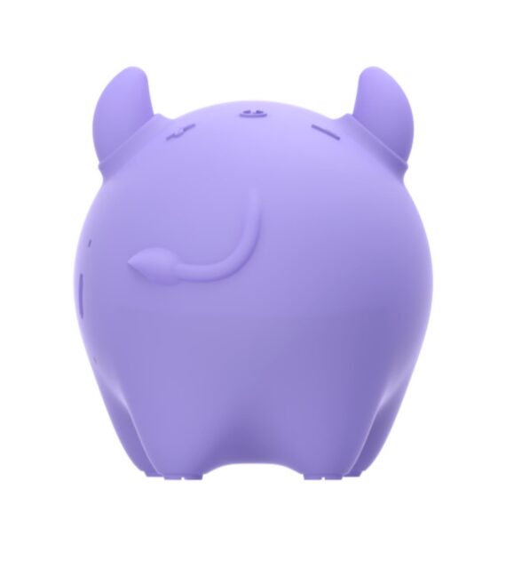 3W Wireless Speaker Summer