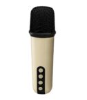 PARTYMIC2 - Speaker wireless con due microfoni wireless inclusi, potenza audio 5 Watt, luci RGB, slot per schede di memoria, porta AUX, porta USB-A [PARTY COLLECTION]