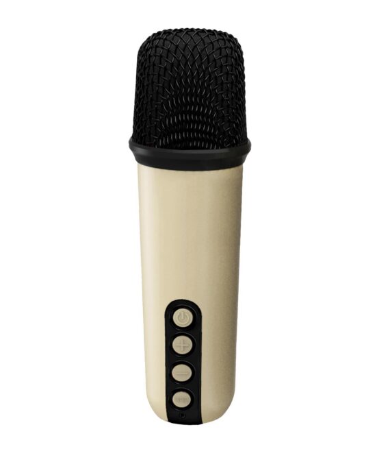 PARTYMIC2 - Speaker wireless con due microfoni wireless inclusi, potenza audio 5 Watt, luci RGB, slot per schede di memoria, porta AUX, porta USB-A [PARTY COLLECTION]