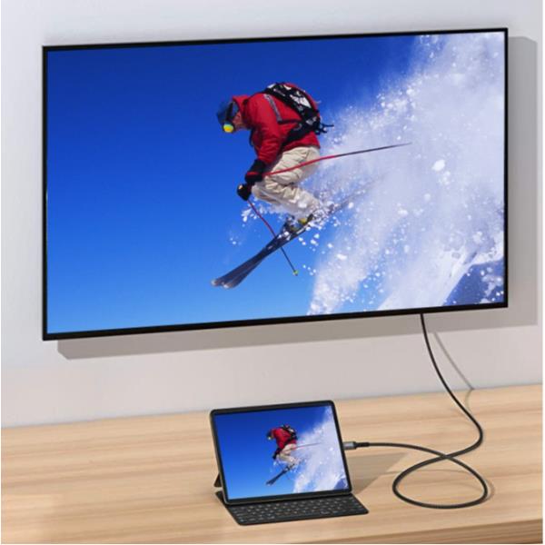 EQUIP - CAVO da USB-C a DiplayPort "Premium" 8K/60Hz M/M (comp. ThunderBolt 3), 1.0m