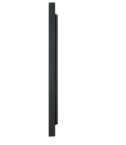 49 LED IPS 1920X1080 4000NITS