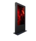 Totem DRAGONFLY 65"