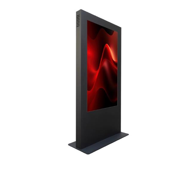 Totem DRAGONFLY 65"