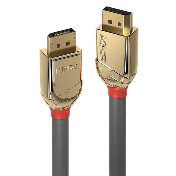 DP GOLD 2M