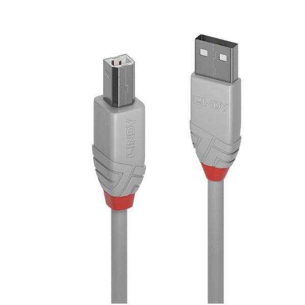 Cavo USB 2.0 Tipo A a B Anthra Line