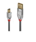Cavo USB 2.0 A/Mini-B Cromo Line, 2m