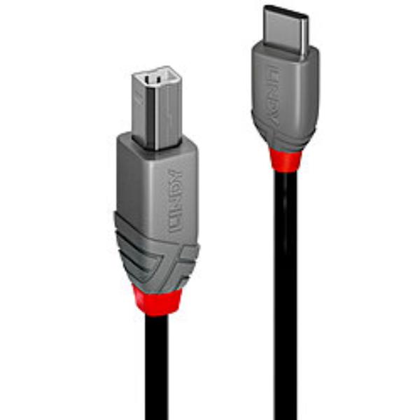 Cavo USB 2.0 Tipo C a B, Anthra Line, 1m