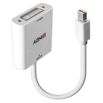 Convertitore da Mini Display Port a DVI