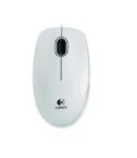 B100 WHITE