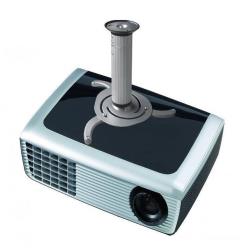 C80