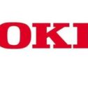 INTERFACCIA FDI PER OKI MB491