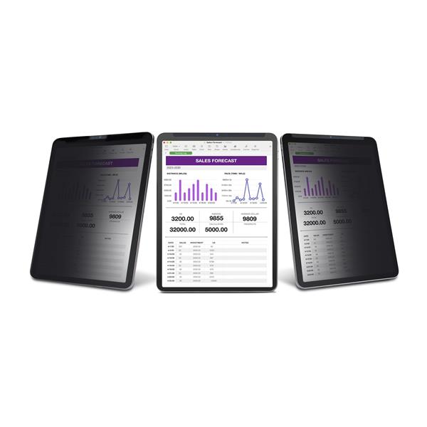 Filtro Privacy per iPad Pro 12,9"