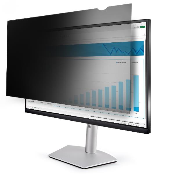 Filtro per la privacy per monitor da 22"