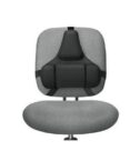 Supporto lombare Professional Series - Microban